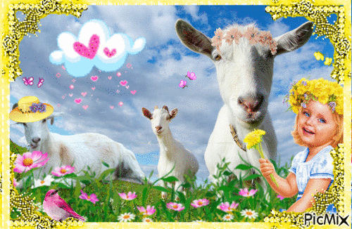 Goats - GIF animé gratuit