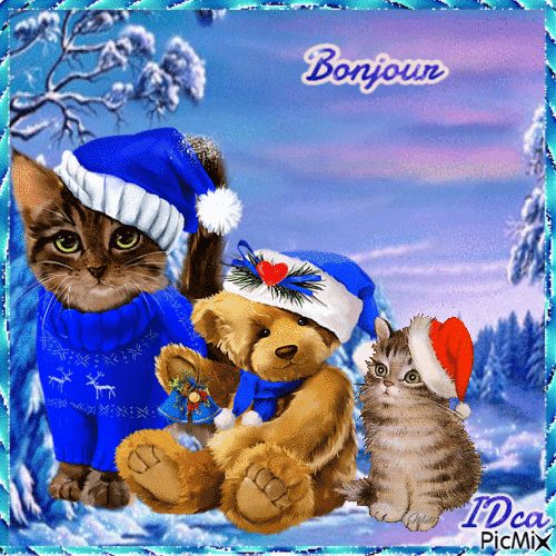 🐈 🐱  ⛄ ❄Bonjour les chatons - Free animated GIF