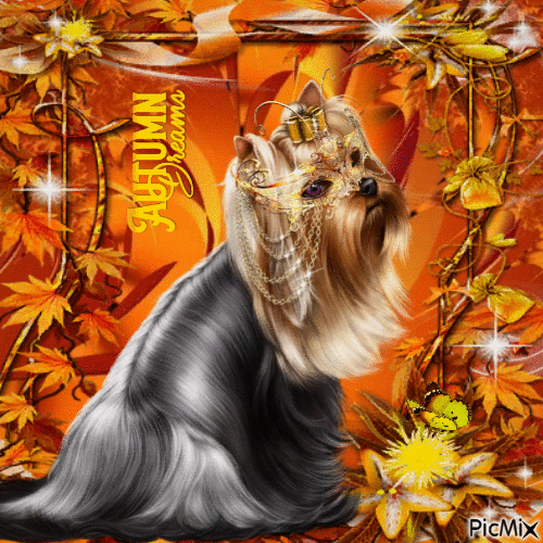 autumn dog - Gratis geanimeerde GIF
