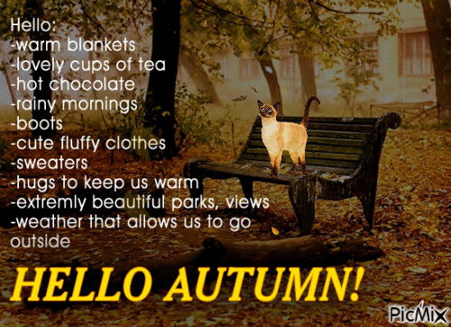 Hello Autumn - Nemokamas animacinis gif