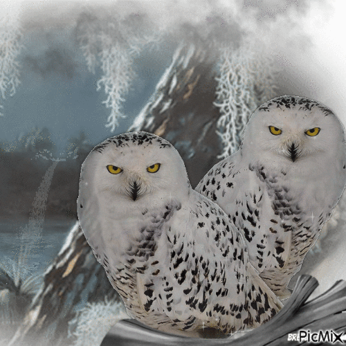 owl - GIF animasi gratis