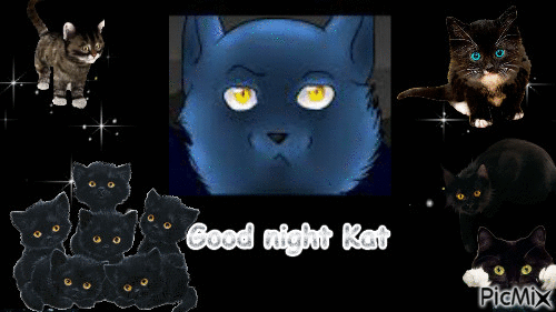 Good night Kat - Nemokamas animacinis gif