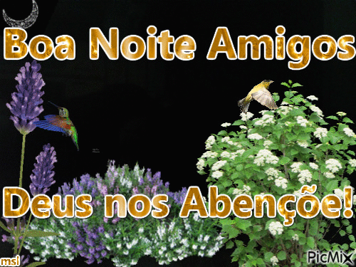 boa noite - Бесплатный анимированный гифка
