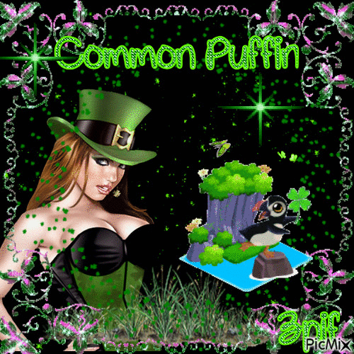 common puffin - GIF animé gratuit