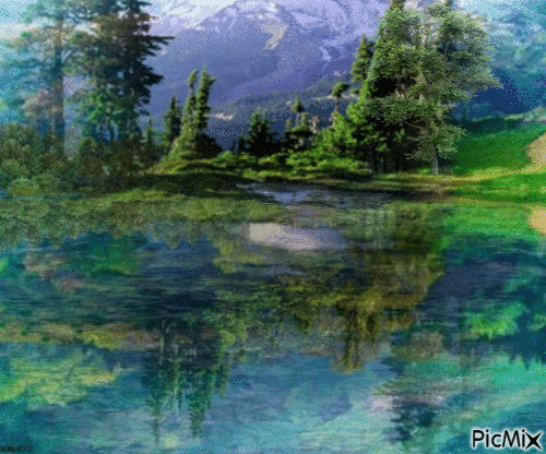 La forêt - Безплатен анимиран GIF