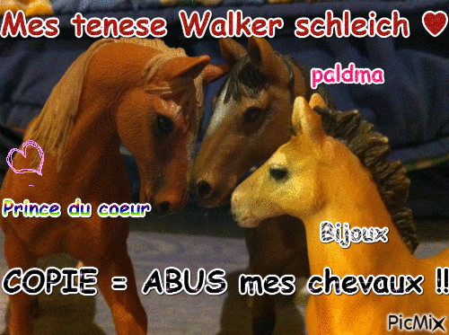 Mes tenese Walker schleich - 無料のアニメーション GIF