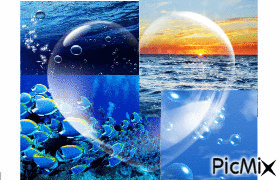 petit coeur de l'océan - GIF animé gratuit