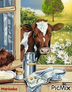 Vaca y de la vaca - GIF animate gratis