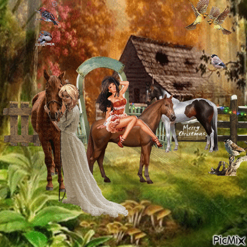 belle de cheval - Free animated GIF