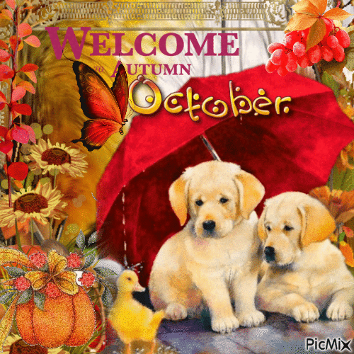 ☆☆ WELCOME OCTOBER - AUTUMN☆☆