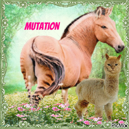 Mutation - Ücretsiz animasyonlu GIF