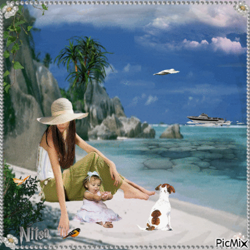 A beautiful afternoon at the beach - Darmowy animowany GIF