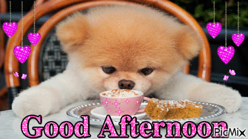 Good Afternoon - Бесплатный анимированный гифка