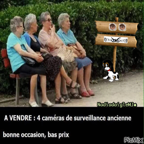 bonjour ,, - Zdarma animovaný GIF