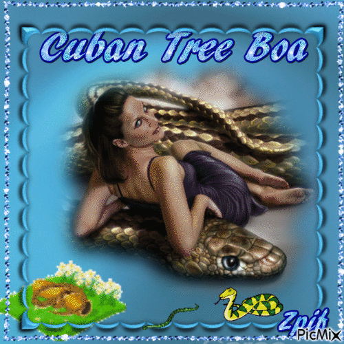 Cuban Tree Boa - Zdarma animovaný GIF