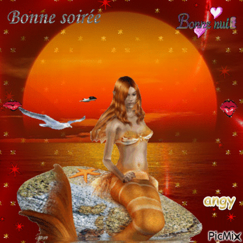 bonne soiree - Ücretsiz animasyonlu GIF