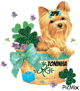 Toninha - Ingyenes animált GIF