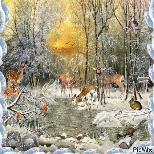 l'hiver cerfs - 無料のアニメーション GIF