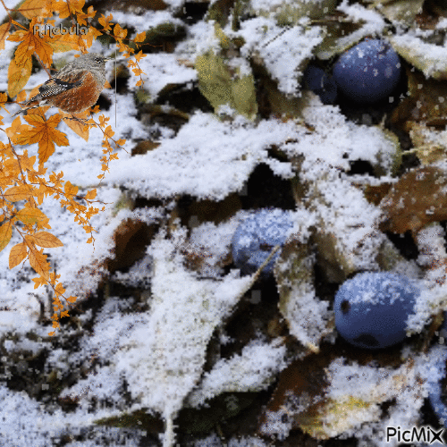 Frist snow in Autumn - 無料のアニメーション GIF