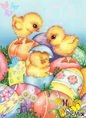 Baby Chicks - Бесплатни анимирани ГИФ