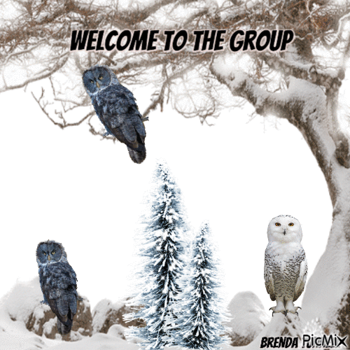 welcome owl - Ücretsiz animasyonlu GIF