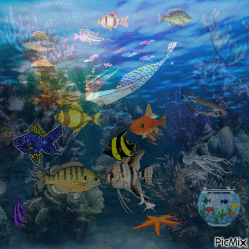 Aquarium - Animovaný GIF zadarmo