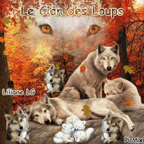 Venez voir le Clan des Loups, ils sont si beaux ♥♥♥♥♥♥♥ - Δωρεάν κινούμενο GIF
