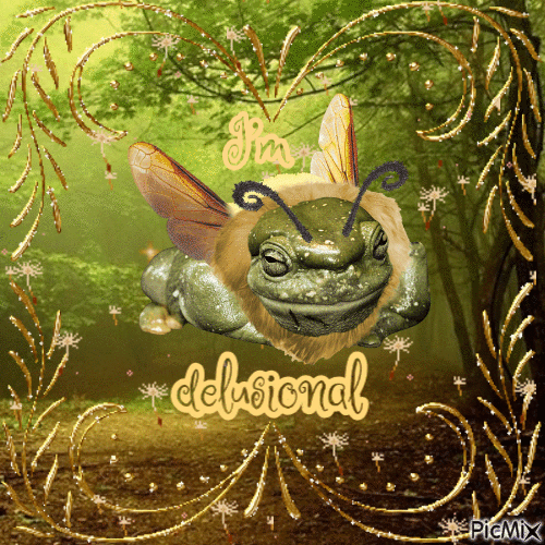 Fairy Frog (I'm delusional) - Darmowy animowany GIF