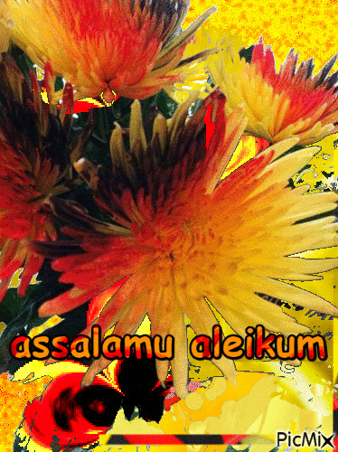 assalamu aleikum - Zdarma animovaný GIF