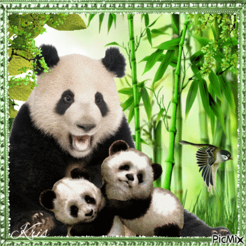 Maman panda et son bébé - GIF animasi gratis