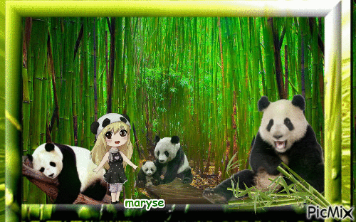 les pandas - Gratis animeret GIF