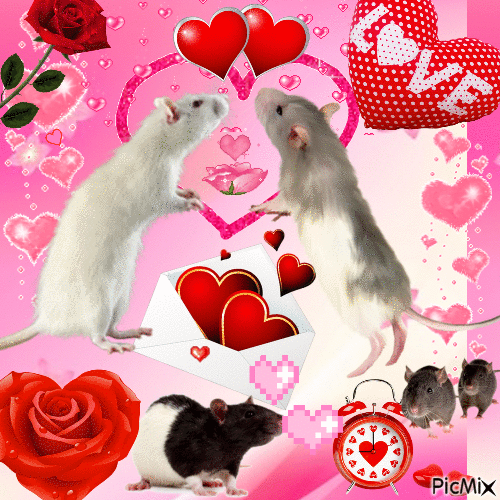 Love is stored in the rat - GIF animasi gratis