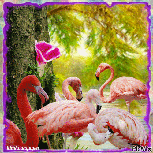 Hồng Hạc _ Flamingos - Animovaný GIF zadarmo
