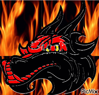dragon - GIF animado gratis