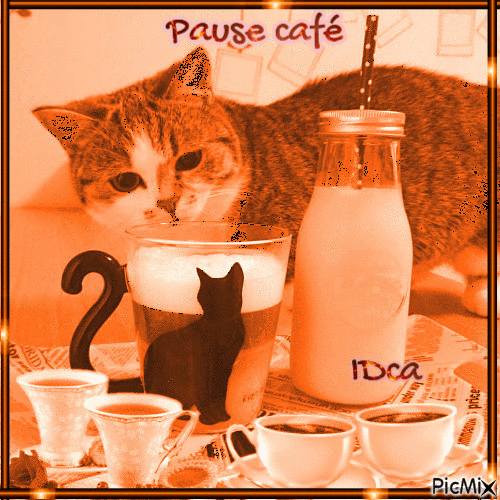 Pause café du chat - Δωρεάν κινούμενο GIF