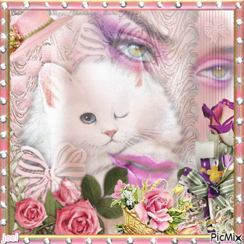 de splendide yeux et le jolie chat - Безплатен анимиран GIF