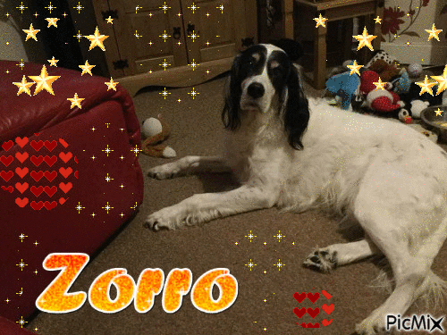 Zorro - Ücretsiz animasyonlu GIF