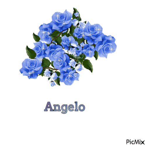 angelo - Ücretsiz animasyonlu GIF
