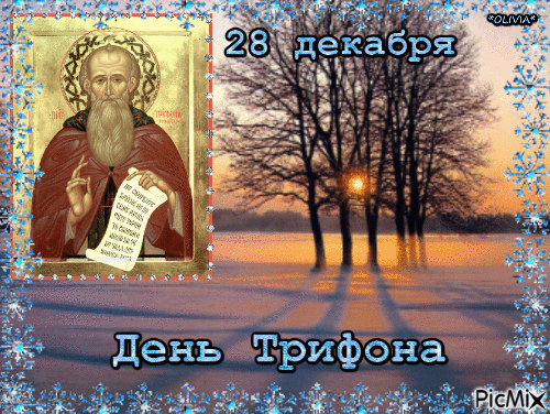Дата 28 декабря. 28 Декабря. 28 Декабря день Трифона. 28 Декабря день. По народному календарю - Трифонов день.