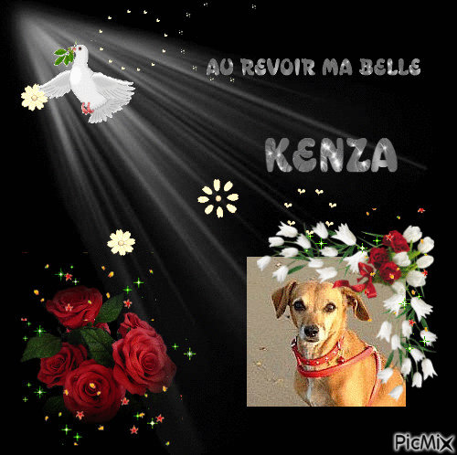 hommage à Kenza - GIF animado gratis
