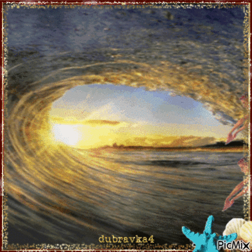 Diversion  de delfines i sirenitas! 20/06/21 - Free animated GIF