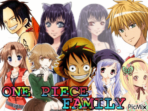 one piece family - Free animated GIF