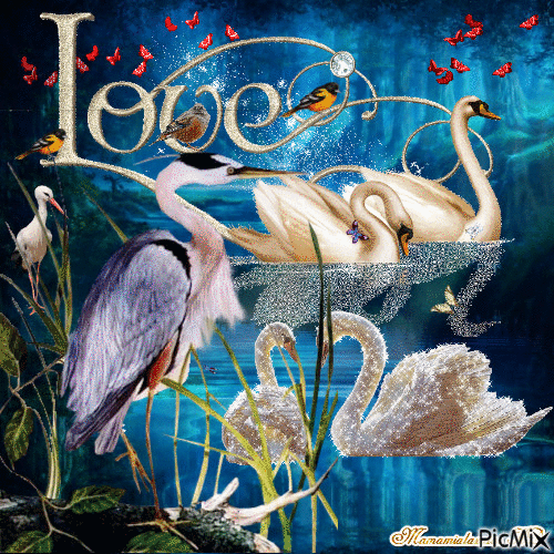 Swan lake ( LOVE ) - Free animated GIF