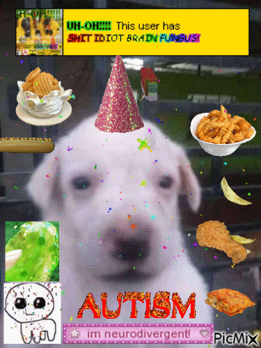 autistic dog - Besplatni animirani GIF