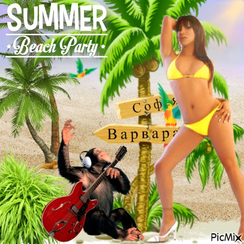 Beach Party - gratis png
