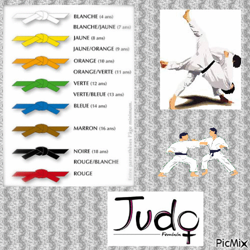 Judo - Zdarma animovaný GIF