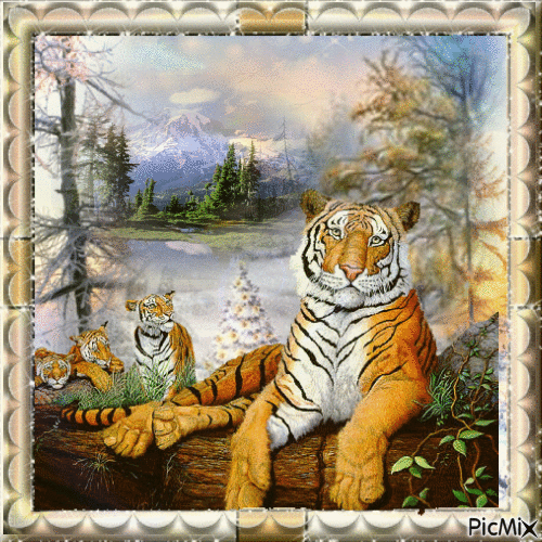 Tigre en Hiver - 無料のアニメーション GIF