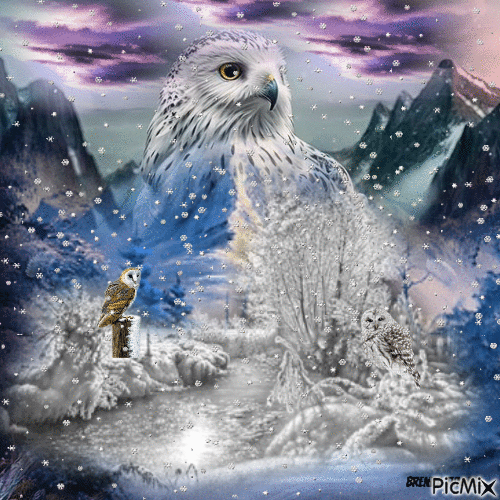 owl - 無料のアニメーション GIF