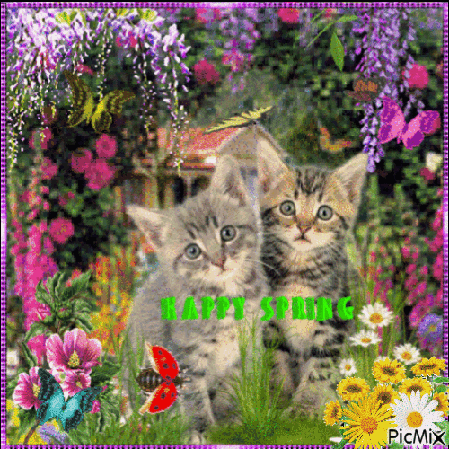 Two cats and flowers - Gratis animerad GIF