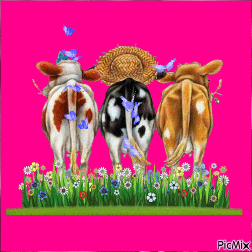 3 vaches - Ingyenes animált GIF